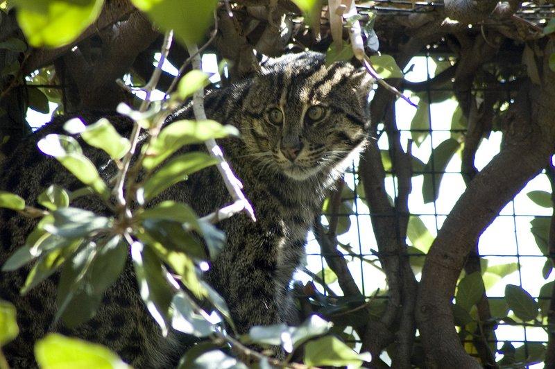 zoo_16 [800x600].jpg